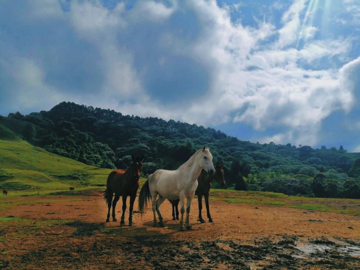 Finca Recreacional Marcelandia ซานตาโรซา เดกาบัล ภายนอก รูปภาพ